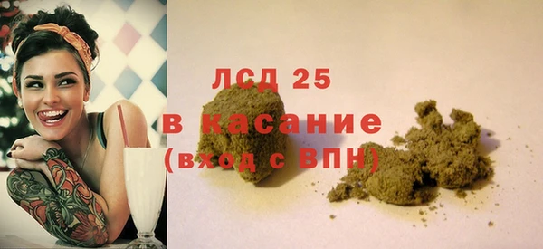 шишки Бородино