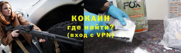 шишки Бородино