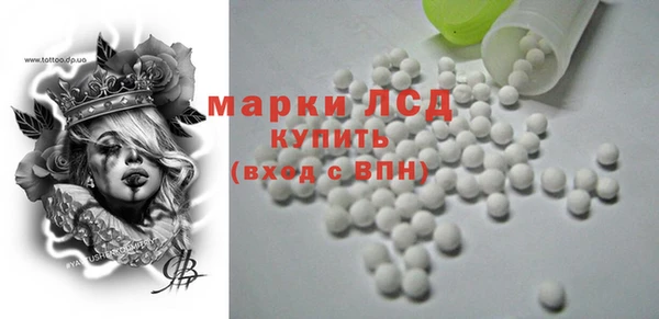 шишки Бородино