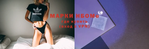 шишки Бородино