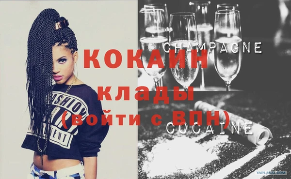 шишки Бородино