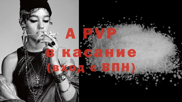 дмт Богданович