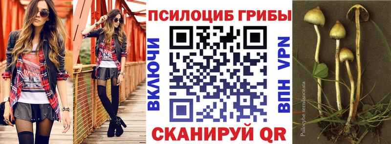 Псилоцибиновые грибы мухоморы  Коммунар 